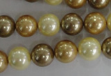 CSB1100 15.5 inches 12mm round mixed color shell pearl beads