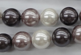 CSB1123 15.5 inches 14mm round mixed color shell pearl beads