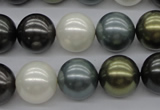 CSB1125 15.5 inches 14mm round mixed color shell pearl beads