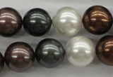 CSB1127 15.5 inches 14mm round mixed color shell pearl beads