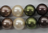 CSB1129 15.5 inches 14mm round mixed color shell pearl beads