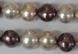 CSB157 15.5 inches 12*15mm – 13*16mm oval mixed color shell pearl beads