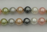 CSB310 15.5 inches 8mm round mixed color shell pearl beads