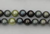 CSB316 15.5 inches 8mm round mixed color shell pearl beads