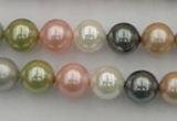 CSB331 15.5 inches 10mm round mixed color shell pearl beads