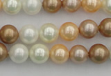 CSB332 15.5 inches 10mm round mixed color shell pearl beads