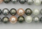 CSB338 15.5 inches 10mm round mixed color shell pearl beads