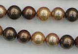 CSB342 15.5 inches 10mm round mixed color shell pearl beads