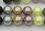 CSB364 15.5 inches 12mm round mixed color shell pearl beads