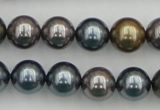 CSB366 15.5 inches 12mm round mixed color shell pearl beads