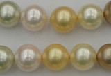 CSB372 15.5 inches 14mm round mixed color shell pearl beads