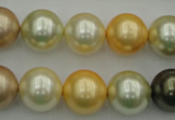 CSB374 15.5 inches 14mm round mixed color shell pearl beads