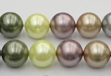 CSB381 15.5 inches 14mm round mixed color shell pearl beads