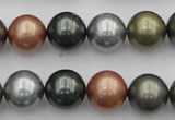 CSB382 15.5 inches 14mm round mixed color shell pearl beads