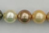 CSB394 15.5 inches 16mm round mixed color shell pearl beads