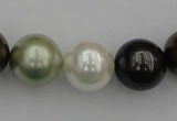 CSB396 15.5 inches 16mm round mixed color shell pearl beads