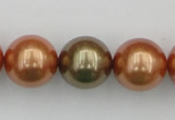 CSB397 15.5 inches 16mm round mixed color shell pearl beads