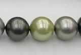 CSB398 15.5 inches 16mm round mixed color shell pearl beads