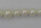 CSB401 15.5 inches 8mm - 16mm round shell pearl beads