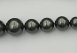 CSB403 15.5 inches 8mm - 16mm round shell pearl beads