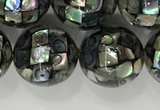 CSB4034 15.5 inches 14mm ball abalone shell beads wholesale