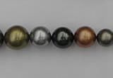 CSB410 15.5 inches 8mm - 16mm round mixed color shell pearl beads