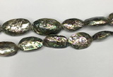 CSB4179 15.5 inches 13*30mm - 15*35mm freeform abalone shell beads