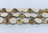 CSB4500 15.5 inches 18*20mm freeform shell beads wholesale