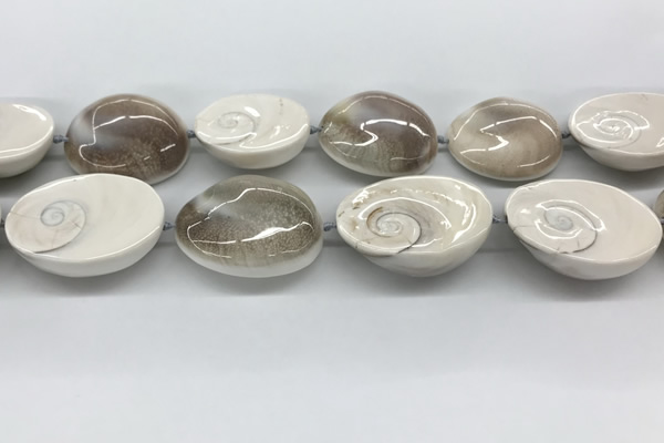 CSB4503 15.5 inches 30*35mm - 35*45mm freeform shell beads wholesale