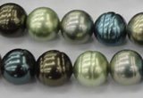 CSB623 15.5 inches 14mm whorl round mixed color shell pearl beads