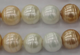 CSB624 15.5 inches 14mm whorl round mixed color shell pearl beads