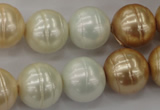 CSB636 15.5 inches 16mm whorl round mixed color shell pearl beads