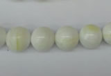 CSB954 15.5 inches 12mm round shell pearl beads wholesale