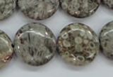 CSF01 15.5 inches 20mm flat round shell fossil jasper beads