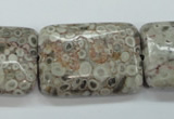 CSF10 15.5 inches 22*30mm rectangle shell fossil jasper beads