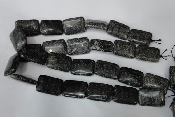 CSI117 15.5 inches 22*30mm rectangle silver scale stone beads