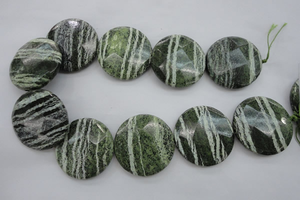 CSJ125 15.5 inches 40mm faceted coin green silver line jasper beads