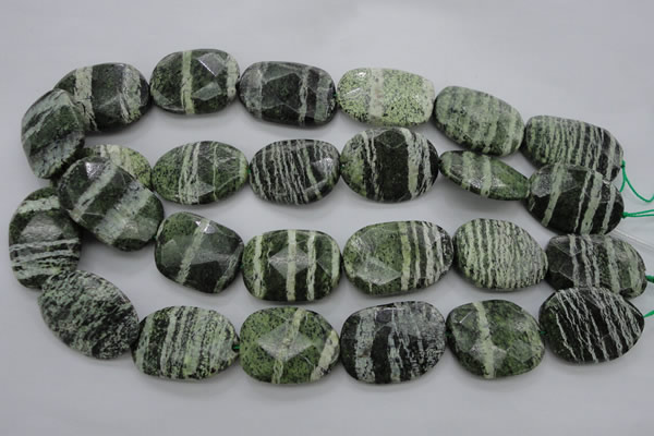 CSJ127 15.5 inches 20*30mm faceted freeform green silver line jasper beads