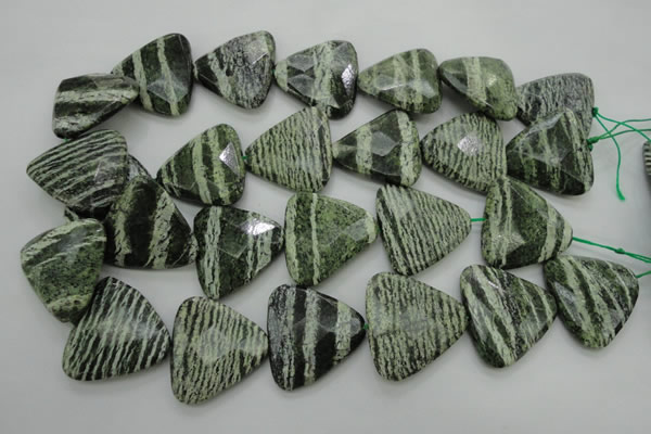 CSJ130 15.5 inches 30*30mm faceted triangle green silver line jasper beads