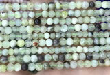 CSJ300 15.5 inches 4mm round serpentine new jade beads wholesale