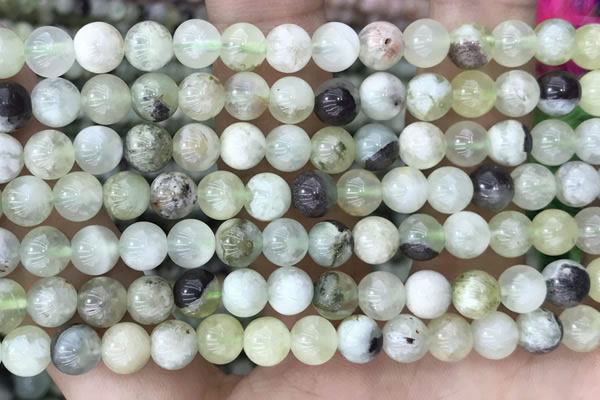 CSJ301 15.5 inches 6mm round serpentine new jade beads wholesale