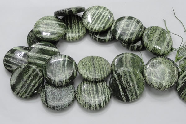 CSJ48 15.5 inches 40mm flat round green silver line jasper beads