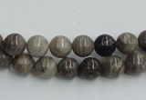 CSL01 15.5 inches 8mm round silver leaf jasper beads wholesale