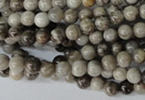 CSL10 15.5 inches 4mm round silver leaf jasper beads wholesale