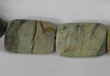 CSL121 15.5 inches 18*25mm faceted rectangle silver leaf jasper beads