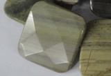 CSL122 15.5 inches 30*30mm faceted square silver leaf jasper beads