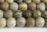 CSL150 15.5 inches 4mm round 

sliver leaf jasper beads wholesale