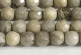 CSL156 15.5 inches 4mm faceted 

round sliver leaf jasper beads