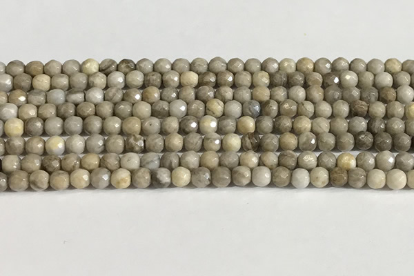 CSL156 15.5 inches 4mm faceted 

round sliver leaf jasper beads