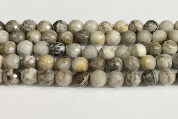 CSL160 15.5 inches 12mm faceted 

round sliver leaf jasper beads